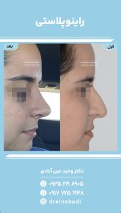 دکتر وحید عین آبادی نمونه کار